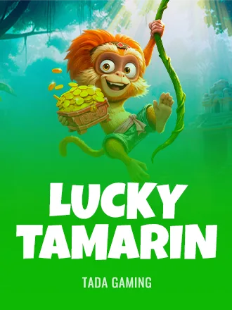 Lucky Tamarin | BetPortal